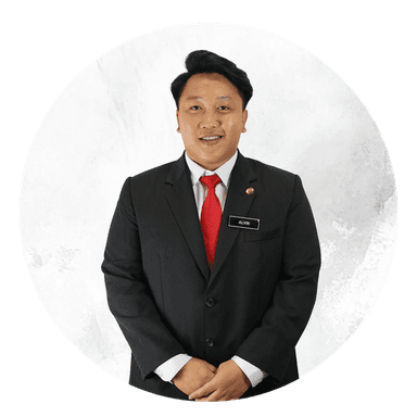 ALVIN PETER LAJIN
